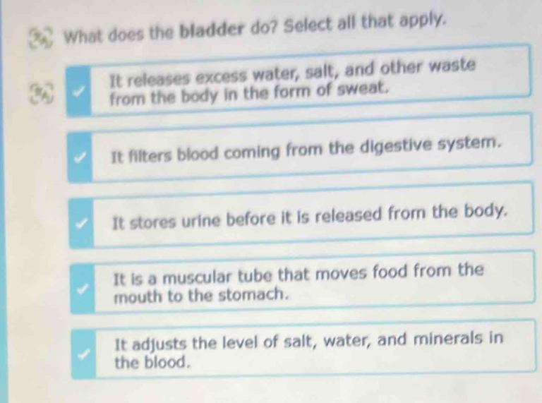 Solved: What does the bladder do? Select all that apply. It releases ...