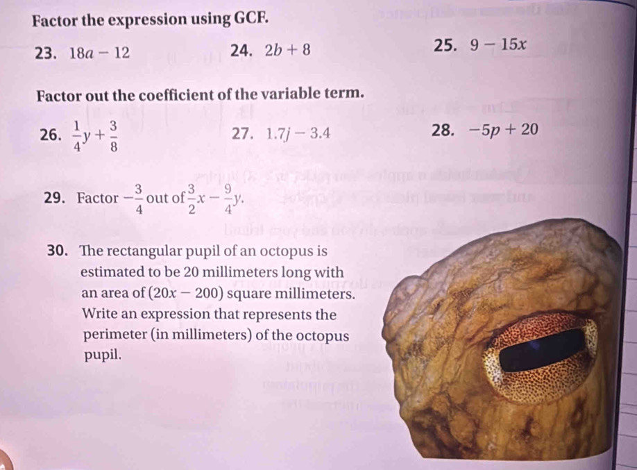 Factor the expression using GCF. 
23. 18a-12 24. 2b+8 25. 9-15x
Factor out the coefficient of the variable term. 
26.  1/4 y+ 3/8  27. 1.7j-3.4 28. -5p+20
29. Factor - 3/4  out of  3/2 x- 9/4 y. 
30. The rectangular pupil of an octopus is 
estimated to be 20 millimeters long with 
an area of (20x-200) square millimeters. 
Write an expression that represents the 
perimeter (in millimeters) of the octopus 
pupil.