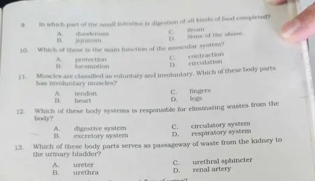 In which part of the small iniestine is digestion of all kinds of food completed?
A. duodemum
C. team D. None of the above.
B jej…
10. Which of these is the main function of the muscular system?
C. contraction
A. protection B. locomotion D. circulation
I 1. Muscles are classified as voluntary and involuntary. Which of these body parts
has involuntary muscles?
A. tendon C. fingers
B. heart D. legs
12. Which of these body systems is responsible for eliminating wastes from the
body?
A. digestive system C. circulatory system
B. excretory system D. respiratory system
13. Which of these body parts serves as passageway of waste from the kidney to
the urinary bladder?
A. ureter C. urethral sphincter
B. urethra D. renal artery