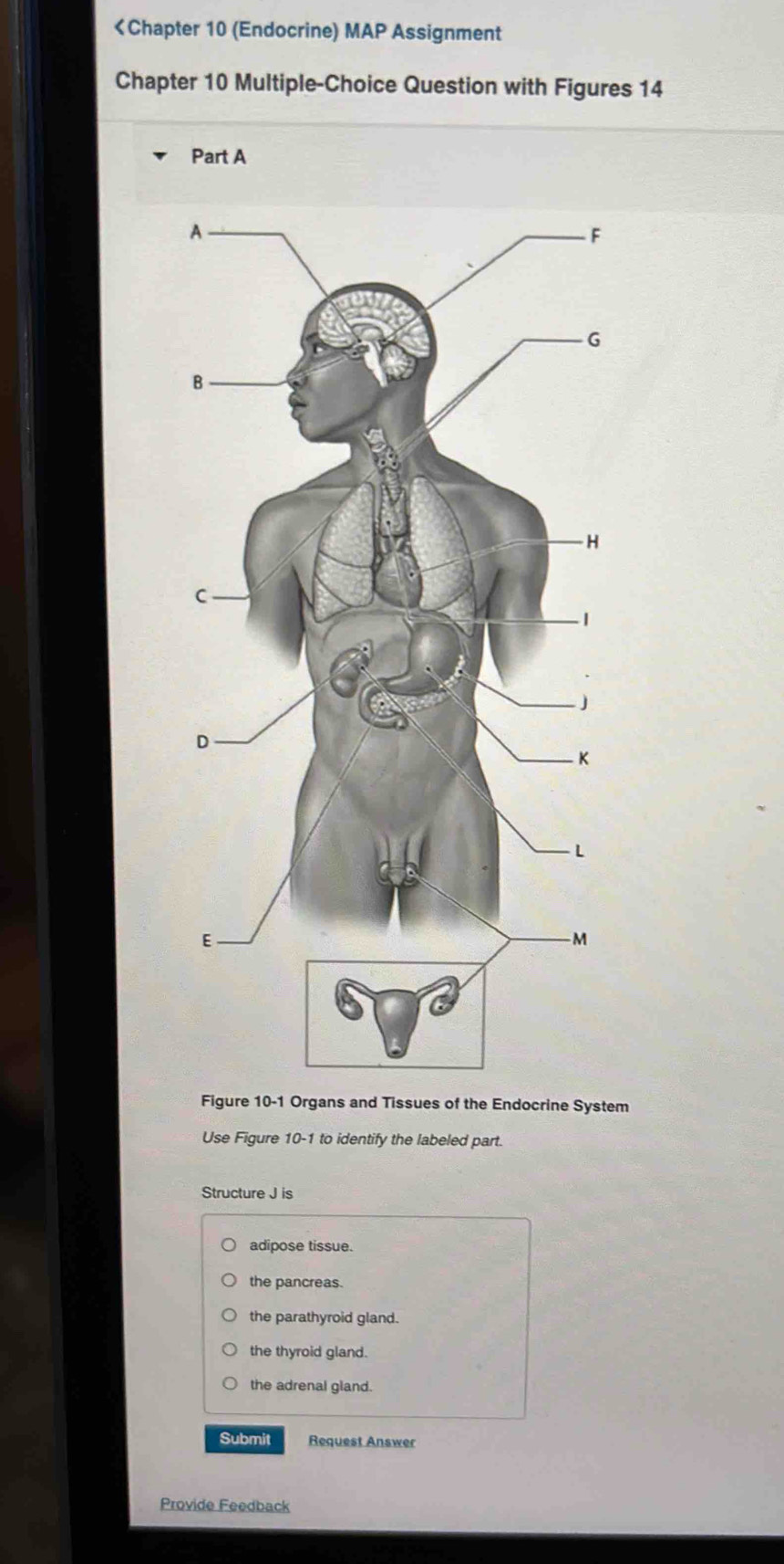 J is
adipose tissue.
the pancreas.
the parathyroid gland.
the thyroid gland.
the adrenal gland.
Submit Request Answer
Provide Feedback