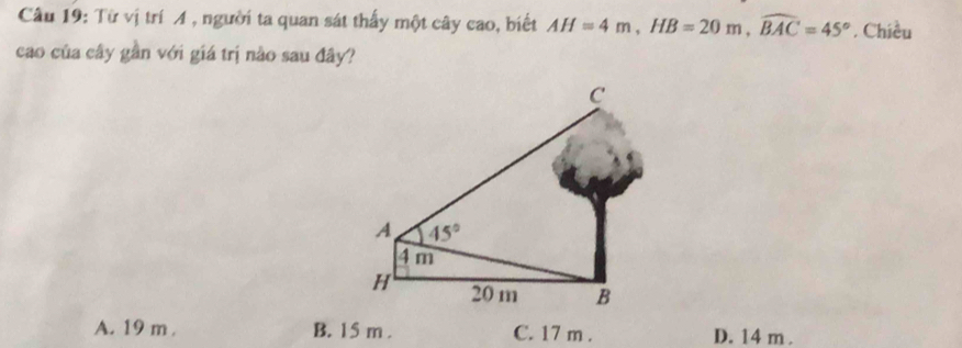 Từ vị trí A , người ta quan sát thấy một cây cao, biết AH=4m,HB=20m,widehat BAC=45°. Chiều
cao của cây gần với giá trị nào sau đây?
A. 19 m B. 15 m . C. 17 m . D. 14 m .