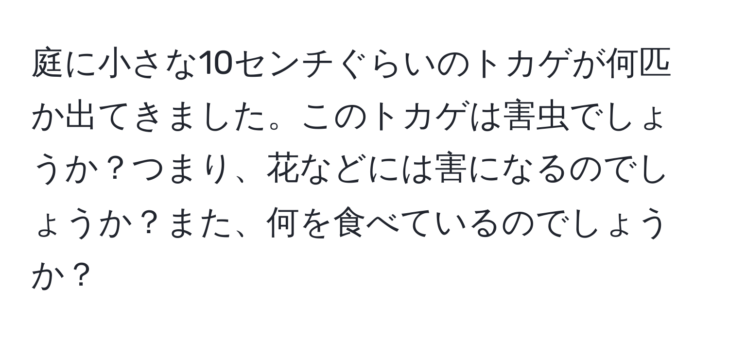 庭に小さな10センチぐらいのトカゲが何匹か出てきました。このトカゲは害虫でしょうか？つまり、花などには害になるのでしょうか？また、何を食べているのでしょうか？