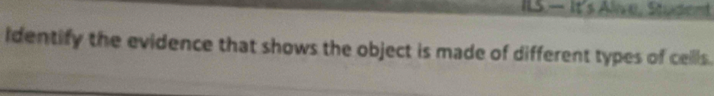 IIS. — It's Alive, Student 
identify the evidence that shows the object is made of different types of cells.