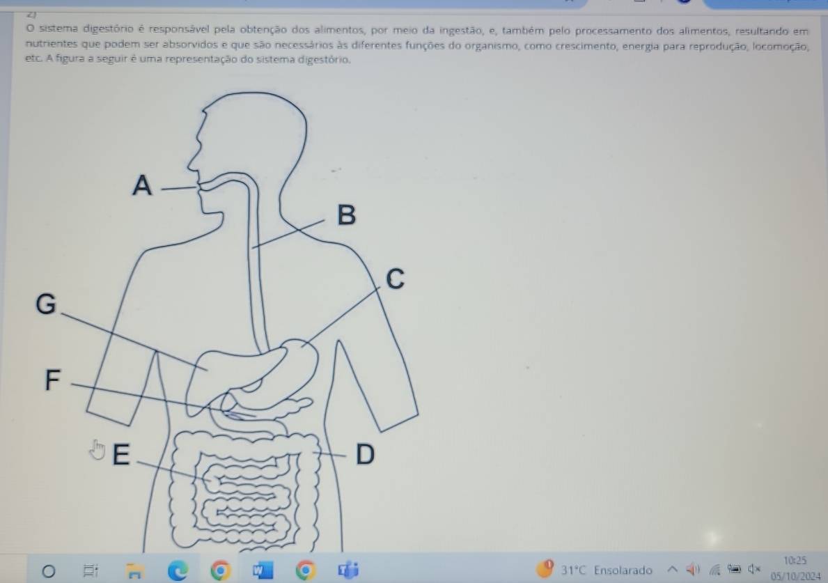 sistema digestório é responsável pela obtenção dos alimentos, por meio da ingestão, e, também pelo processamento dos alimentos, resultando em 
nutrientes que podem ser absorvidos e que são necessários às diferentes funções do organismo, como crescimento, energia para reprodução, locomoção, 
etc. A figura a seguir é uma representação do sistema digestório,
10:25
31°C Ensolarado 05/10/2024