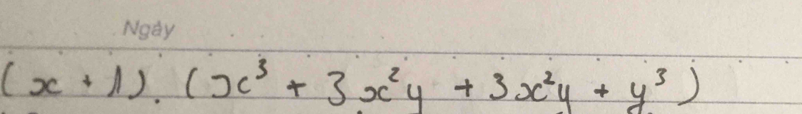 (x+1)· (x^3+3x^2y+3x^2y+y^3)