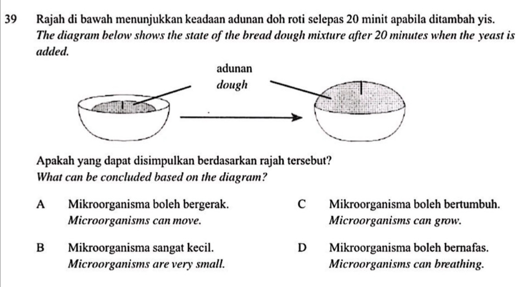 Rajah di bawah menunjukkan keadaan adunan doh roti selepas 20 minit apabila ditambah yis.
The diagram below shows the state of the bread dough mixture after 20 minutes when the yeast is
added.
Apakah yang dapat disimpulkan berdasarkan rajah tersebut?
What can be concluded based on the diagram?
A Mikroorganisma boleh bergerak. C Mikroorganisma boleh bertumbuh.
Microorganisms can move. Microorganisms can grow.
B Mikroorganisma sangat kecil. D Mikroorganisma boleh bernafas.
Microorganisms are very small. Microorganisms can breathing.