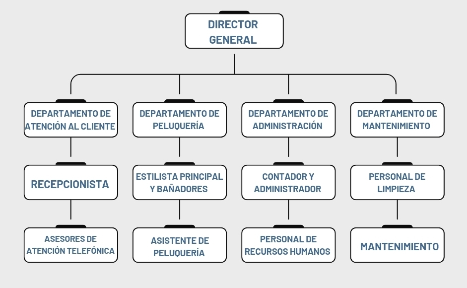 DIRECTOR 
GENERAL 
DEPARTAMENTO DE DEPARTAMENTO DE DEPARTAMENTO DE DEPARTAMENTO DE 
ATENCIÓN AL CLIENTE PELUQUERÍA ADMINISTRACIÓN MANTENIMIENTO 
ESTILISTA PRINCIPAL CONTADOR Y PERSONAL DE 
RECEPCIONISTA YBAÑADORES ADMINISTRADOR LIMPIEZA 
ASESORES DE ASISTENTE DE PERSONAL DE 
ATENCIÓN TELEFÓNICA PELUQUERÍA RECURSOS HUMANOS MANTENIMIENTO