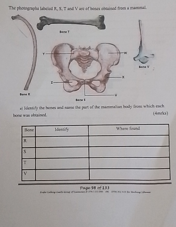 The photographs labeled R, S, T and V are of bones obtained from a mammal. 
a) Identify the bones and name the part of the mammalian body from which each 
bone was obtained. (4mrks) 
Page 98 of 133 
Profer Cailing Amols Group of Esaminers 8 074 3 1 3 1 200 CR 0706 831 4 25 for Macking Sckemas