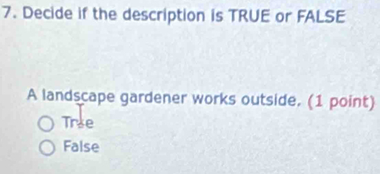 Decide if the description is TRUE or FALSE
A landscape gardener works outside. (1 point)
Tree
False