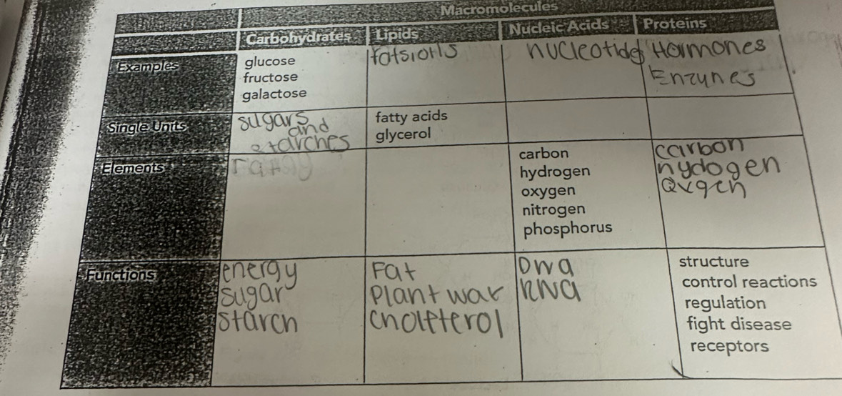 Thed Macromolecules