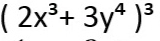 (2x^3+3y^4)^3