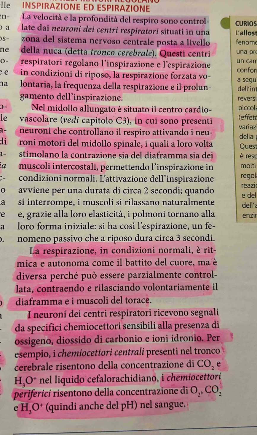 lle INSPIRAZIONE ED ESPIRAZIONE
en- La velocità e la profondità del respiro sono control- CURIOS
a late dai neuroni dei centri respiratori situati in una Lallost
)S- zona del sistema nervoso centrale posta a livello fenome
ne della nuca (detta tronco cerebrale). Questi centri una pr
un cam
0- respiratori regolano l'inspirazione e l'espirazione confor
e e in condizioni di riposo, la respirazione forzata vo- a segui
na lontaria, la frequenza della respirazione e il prolun- dell'in
gamento dell’inspirazione. reversi
0 - Nel midollo allungato è situato il centro cardio- piccola
le vascolare (vedi capitolo C3), in cui sono presenti (effett
a- neuroni che controllano il respiro attivando i neu- variaz
della 
di roni motori del midollo spinale, i quali a loro volta Quest
a- stimolano la contrazione sia del diaframma sia dei è resp
ia muscoli intercostali, permettendo l’inspirazione in molti
- condizioni normali. L’attivazione dell’inspirazione regol
0 avviene per una durata di circa 2 secondi; quando reazi
e del
a  si interrompe, i muscoli si rilassano naturalmente dell'a
e e, grazie alla loro elasticità, i polmoni tornano alla enzir
a loro forma iniziale: si ha così l’espirazione, un fe-
o. nomeno passivo che a riposo dura circa 3 secondi.
La respirazione, in condizioni normali, è rit-
mica e autonoma come il battito del cuore, ma è
diversa perché può essere parzialmente control-
lata, contraendo e rilasciando volontariamente il
diaframma e i muscoli del torace.
I neuroni dei centri respiratori ricevono segnali
da specifici chemiocettori sensibili alla presenza di
ossigeno, diossido di carbonio e ioni idronio. Per
esempio, i chemiocettori centrali presenti nel tronco
cerebrale risentono della concentrazione di CO_2 e
H_3O^+ nel liquido cefalorachidiano, i chemiocettori
periferici risentono della concentrazione di O_2,CO_2
e H_3O^+ (quindi anche del pH) nel sangue.