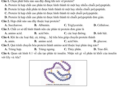 Cầu 1. Chọn phát biểu nào sau đây đủng khi nói về protein?
A. Protein là hợp chất cao phân tử được hình thành từ một hay nhiều chuỗi polypeptide.
B. Protein là hợp chất phân tử được hình thành từ một hay nhiều chuỗi polypeptide.
C. Protein là hợp chất cao phân tử được hình thành từ một chuỗi polypeptide.
D. Protein là hợp chất cao phân tử được hình thành từ chuỗi polypeptide đơn giản.
Câu 2. Hợp chất nào sau đây thuộc loại protein?
A. Saccharose. B. Albumin. C. Triglyceride. D. Cellulose.
Câu 3. Chất cơ sở để hình thành nên các phân tử protein đơn giản là
A. amino acid. B. acid béo. C. các loại đường. D. tinh bột.
Câu 4. Khi ăn các loại thịt, cá, trứng... hệ tiêu hóa giúp chuyển protein thành
A. amin, B. amino acid. C. acid béo. D. glucose.
Câu 5. Quá trình chuyển hóa protein thành amino acid thuộc loại phản ứng nào?
A. Trùng hợp. B. Trùng ngưng C. Thủy phân. D. Trao đổi,
Câu 6. Quan sát hình 8.1 về cấu tạo phân tử insulin. Nhận xét gì về phân tử khối của insulin
với Gly và Ala?