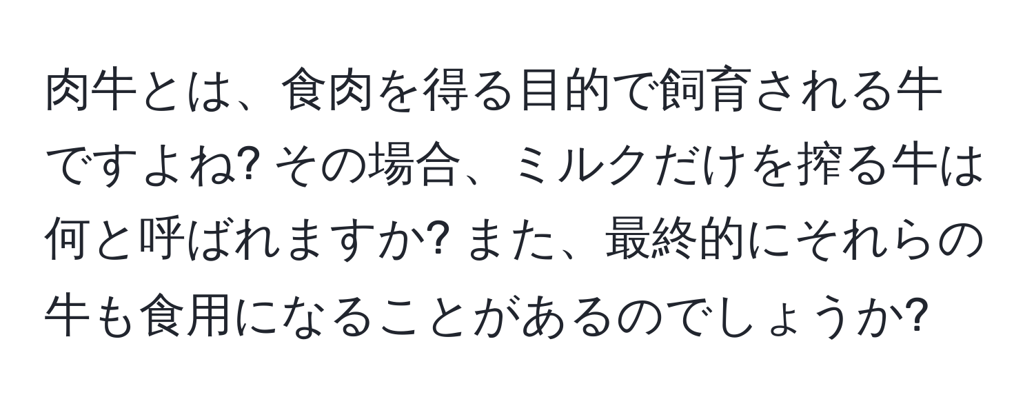 肉牛とは、食肉を得る目的で飼育される牛ですよね? その場合、ミルクだけを搾る牛は何と呼ばれますか? また、最終的にそれらの牛も食用になることがあるのでしょうか?