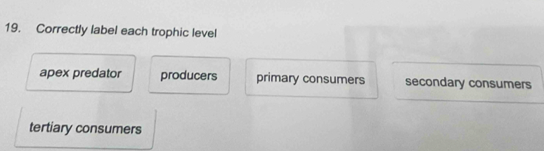 Correctly label each trophic level
apex predator producers primary consumers secondary consumers
tertiary consumers