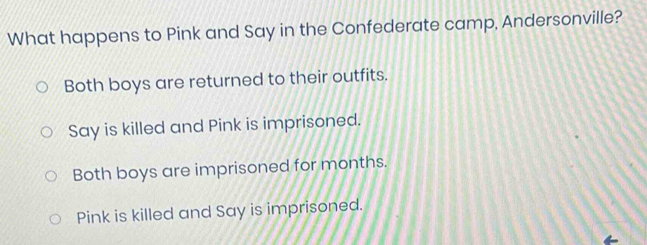 What happens to Pink and Say in the Confederate camp, Andersonville?
Both boys are returned to their outfits.
Say is killed and Pink is imprisoned.
Both boys are imprisoned for months.
Pink is killed and Say is imprisoned.