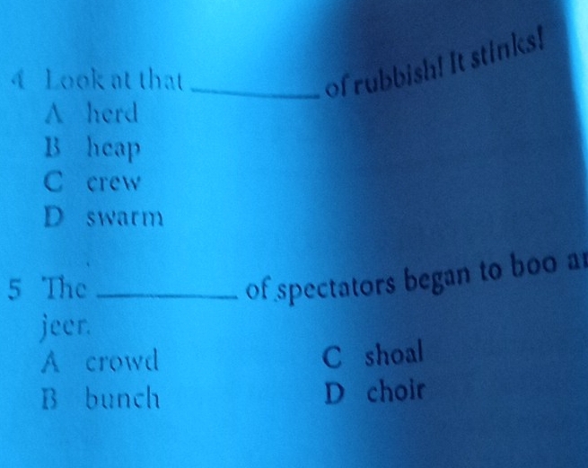 Look at that_
of rubbish! It stinks!
A herd
B heap
C crew
D swarm
5 The_
of spectators began to boo a
jeer.
A crowd C shoal
B bunch D choir