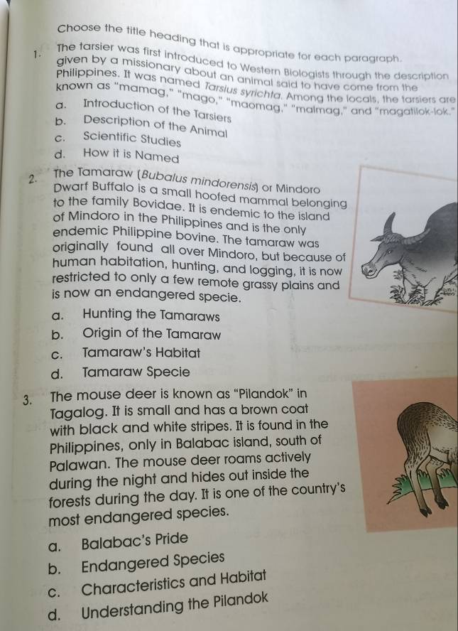 Choose the title heading that is appropriate for each paragraph.
1. The tarsier was first introduced to Western Biologists through the description
given by a missionary about an animal said to have come trom the
Philippines. It was named Tarsius syrichta. Among the locals, the tarsiers are
known as “mamag,” “mago,” “maomag," “malmag,” and “magatilok-lok.”
a. Introduction of the Tarsiers
b. Description of the Animal
c. Scientific Studies
d. How it is Named
2. The Tamaraw (Bubalus mindorensis) or Mindora
Dwarf Buffalo is a small hoofed mammal belonging
to the family Bovidae. It is endemic to the island
of Mindoro in the Philippines and is the only
endemic Philippine bovine. The tamaraw was
originally found all over Mindoro, but because of
human habitation, hunting, and logging, it is now
restricted to only a few remote grassy plains and
is now an endangered specie.
a. Hunting the Tamaraws
b. Origin of the Tamaraw
c. Tamaraw's Habitat
d. Tamaraw Specie
3. The mouse deer is known as “Pilandok” in
Tagalog. It is small and has a brown coat
with black and white stripes. It is found in the
Philippines, only in Balabac island, south of
Palawan. The mouse deer roams actively
during the night and hides out inside the
forests during the day. It is one of the country's
most endangered species.
a. Balabac's Pride
b. Endangered Species
c. Characteristics and Habitat
d. Understanding the Pilandok