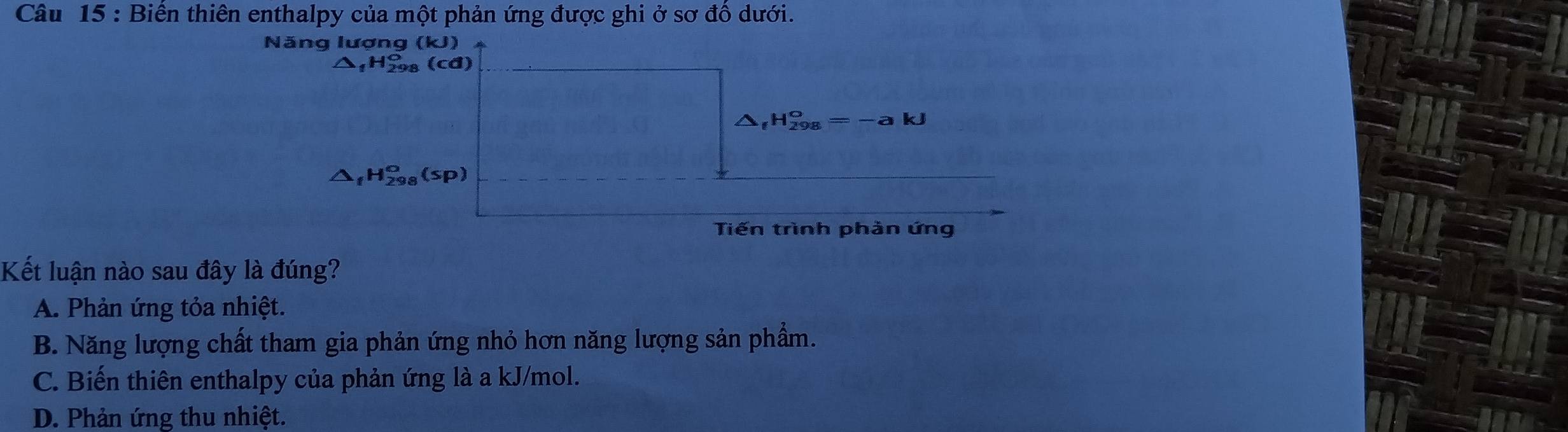 Biến thiên enthalpy của một phản ứng được ghi ở sơ đổ dưới.
Năng lượng (kJ)
Tiến trình phần ứng
Kết luận nào sau đây là đúng?
A. Phản ứng tỏa nhiệt.
B. Năng lượng chất tham gia phản ứng nhỏ hơn năng lượng sản phẩm.
C. Biến thiên enthalpy của phản ứng là a kJ/mol.
D. Phản ứng thu nhiệt.