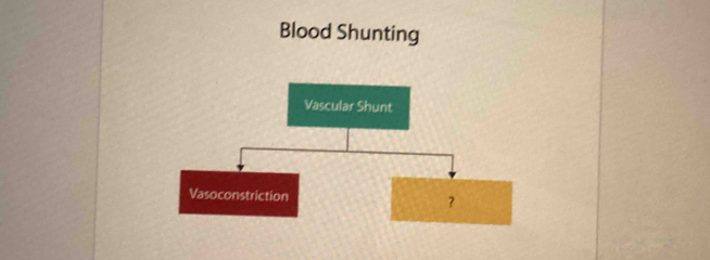 Blood Shunting 
Vascular Shunt 
Vasoconstriction ？