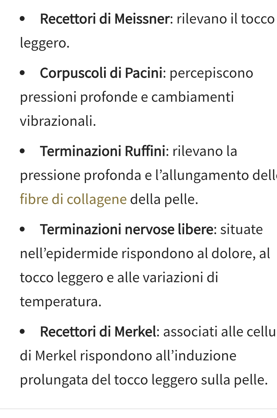 Recettori di Meissner: rilevano il tocco 
leggero. 
Corpuscoli di Pacini: percepiscono 
pressioni profonde e cambiamenti 
vibrazionali. 
Terminazioni Ruffini: rilevano la 
pressione profonda e l’allungamento dell 
fibre di collagene della pelle. 
Terminazioni nervose libere: situate 
nell’epidermide rispondono al dolore, al 
tocco leggero e alle variazioni di 
temperatura. 
Recettori di Merkel: associati alle cellu 
di Merkel rispondono all’induzione 
prolungata del tocco leggero sulla pelle.