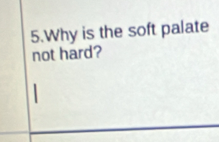 Why is the soft palate 
not hard?