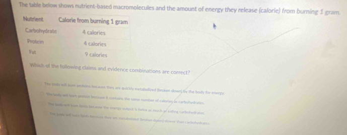 The table below shows nutrient-based macromolecules and the amount of energy they release (calorie) from burning 1 gram.
Which of the following claims and evidence combinations are correct?
The bear elll burn proteins because they are quickly metabolized (brokm down) by the body for energy.
The bony will tear protain becauss it contains the same number of calories as carbohydrates.
The padewill bum foics lecese the energy outout is twice as much of eating carbohydrates.
Fre besy all sece lipsls tocisine they am metsbolized (broken down) dower than carbohydrates.