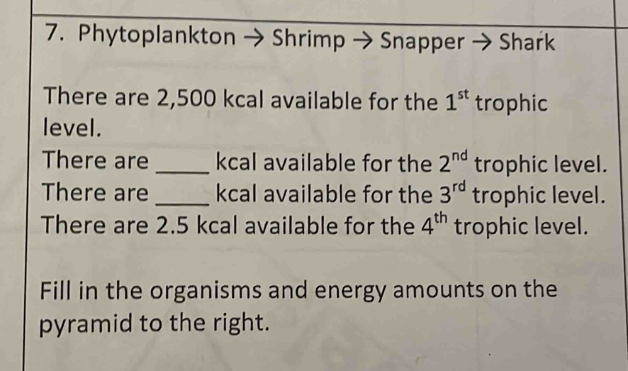 Phytoplankton Shrimp → Snapper Shark 
There are 2,500 kcal available for the 1^(st) trophic 
level. 
There are _kcal available for the 2^(nd) trophic level. 
There are_ kcal available for the 3^(rd) trophic level. 
There are 2.5 kcal available for the 4^(th) trophic level. 
Fill in the organisms and energy amounts on the 
pyramid to the right.