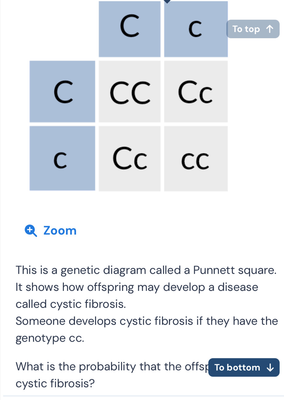 top 
Zoom 
This is a genetic diagram called a Punnett square. 
It shows how offspring may develop a disease 
called cystic fibrosis. 
Someone develops cystic fibrosis if they have the 
genotype cc. 
What is the probability that the offsp To bottom 
cystic fibrosis?