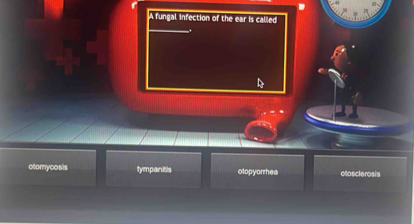 A fungal infection of the ear is called
.
otomycosis tympanitis otopyorrhea otosclerosis