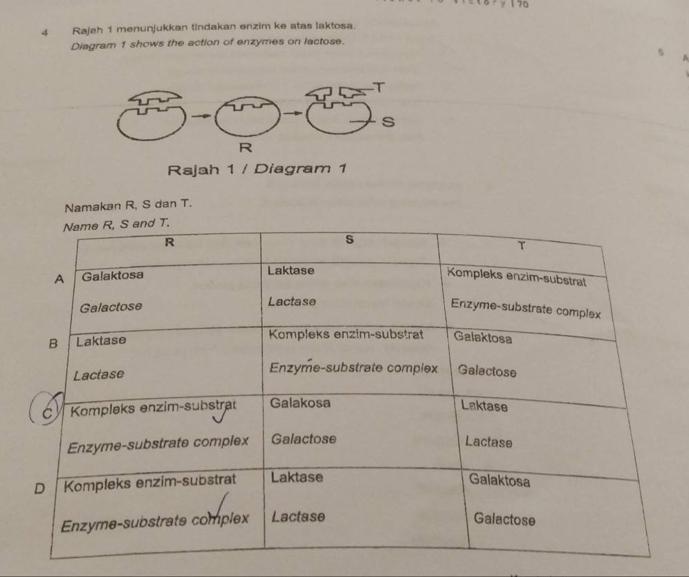 1 70 
4 Rajah 1 menunjukkan tindakan enzim ke atas laktosa. 
Diagram 1 shows the action of enzymes on lactose. 
Namakan R, S dan T.