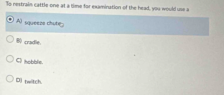 To restrain cattle one at a time for examination of the head, you would use a
A) squeeze chute
B) cradle.
C) hobble.
D) twitch.