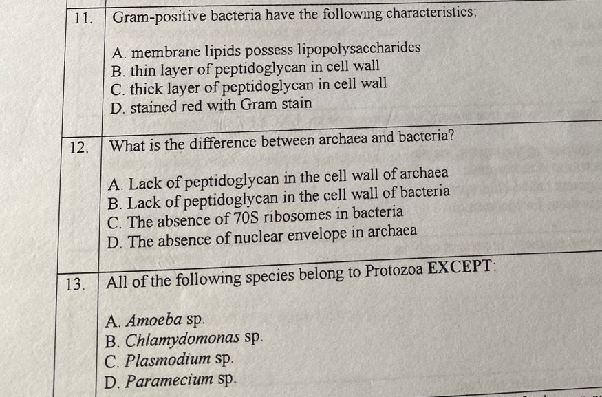 Gram-positive bacteria have the following characteristics:
A. membrane lipids possess lipopolysaccharides
B. thin layer of peptidoglycan in cell wall
C. thick layer of peptidoglycan in cell wall
D. stained red with Gram stain
12. What is the difference between archaea and bacteria?
A. Lack of peptidoglycan in the cell wall of archaea
B. Lack of peptidoglycan in the cell wall of bacteria
C. The absence of 70S ribosomes in bacteria
D. The absence of nuclear envelope in archaea
13. All of the following species belong to Protozoa EXCEPT:
A. Amoeba sp.
B. Chlamydomonas sp.
C. Plasmodium sp.
D. Paramecium sp.