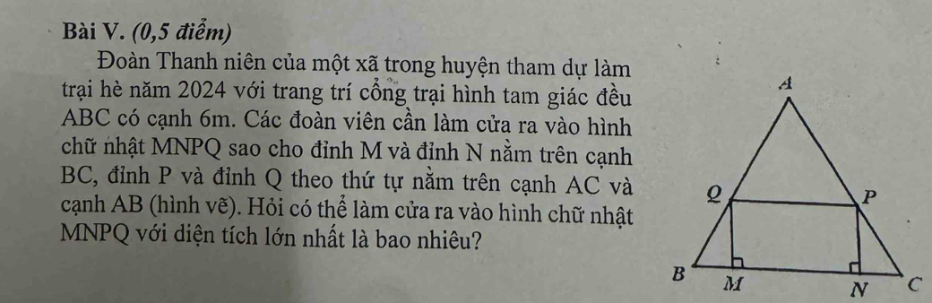 (0,5 điểm) 
Đoàn Thanh niên của một xã trong huyện tham dự làm 
trại hè năm 2024 với trang trí cổng trại hình tam giác đều
ABC có cạnh 6m. Các đoàn viên cần làm cửa ra vào hình 
chữ nhật MNPQ sao cho đỉnh M và đỉnh N nằm trên cạnh
BC, đỉnh P và đỉnh Q theo thứ tự nằm trên cạnh AC và 
cạnh AB (hình vẽ). Hỏi có thể làm cửa ra vào hình chữ nhật
MNPQ với diện tích lớn nhất là bao nhiêu?