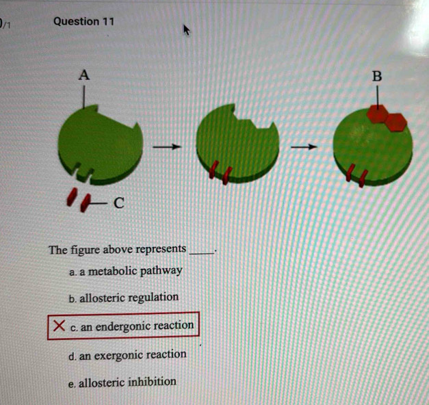 0/1 Question 11
The figure above represents _、`
a. a metabolic pathway
b. allosteric regulation
c. an endergonic reaction
d. an exergonic reaction
e. allosteric inhibition