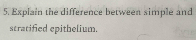 Explain the difference between simple and 
stratified epithelium.