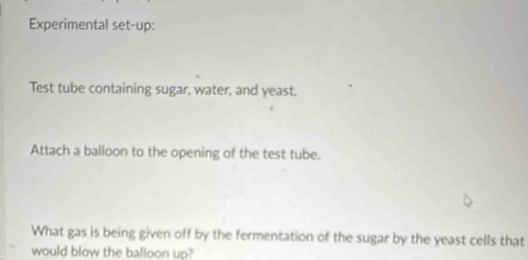 Experimental set-up: 
Test tube containing sugar, water, and yeast. 
Attach a balloon to the opening of the test tube. 
What gas is being given off by the fermentation of the sugar by the yeast cells that 
would blow the balloon up?