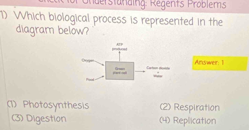 Pnderstanding: Regents Problems
1) Which biological process is represented in the
diagram below?
Answer: 1
(1) Photosynthesis (2) Respiration
(3) Digestion (4) Replication