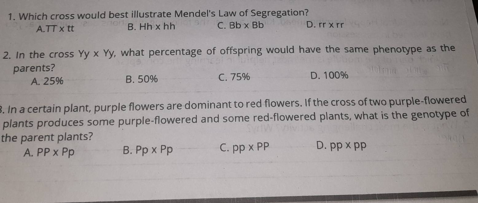 Which cross would best illustrate Mendel's Law of Segregation?
A. π * tt
B. Hh* hh C. Bb* Bb D. rr x rr
2. In the cross Yy* Yy , what percentage of offspring would have the same phenotype as the
parents?
A. 25% B. 50% C. 75% D. 100%
8. In a certain plant, purple flowers are dominant to red flowers. If the cross of two purple-flowered
plants produces some purple-flowered and some red-flowered plants, what is the genotype of
the parent plants?
B.
C. pp* pp D.
A. PP* Pp Pp* Pp pp* pp