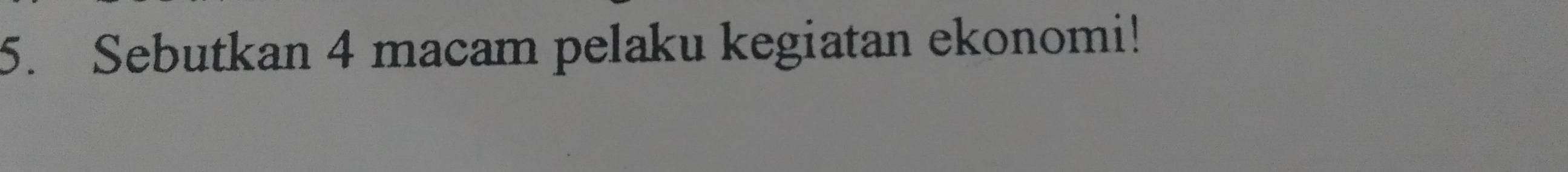 Sebutkan 4 macam pelaku kegiatan ekonomi!