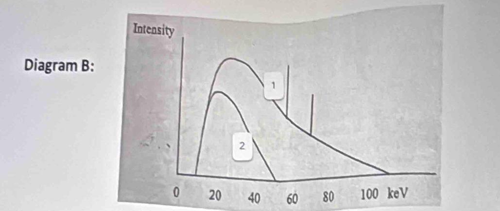 Diagram B :