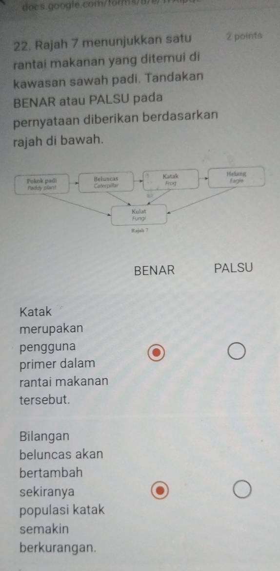 Rajah 7 menunjukkan satu 2 points 
rantai makanan yang ditemui di 
kawasan sawah padi. Tandakan 
BENAR atau PALSU pada 
pernyataan diberikan berdasarkan 
rajah di bawah. 
Pokok padi Beluncas Katak Helang Eagle 
Paddy plant Caterpillar Frog 
Kulat 
Fungi 
Rajah 7 
BENAR PALSU 
Katak 
merupakan 
pengguna 
primer dalam 
rantai makanan 
tersebut. 
Bilangan 
beluncas akan 
bertambah 
sekiranya 
populasi katak 
semakin 
berkurangan.