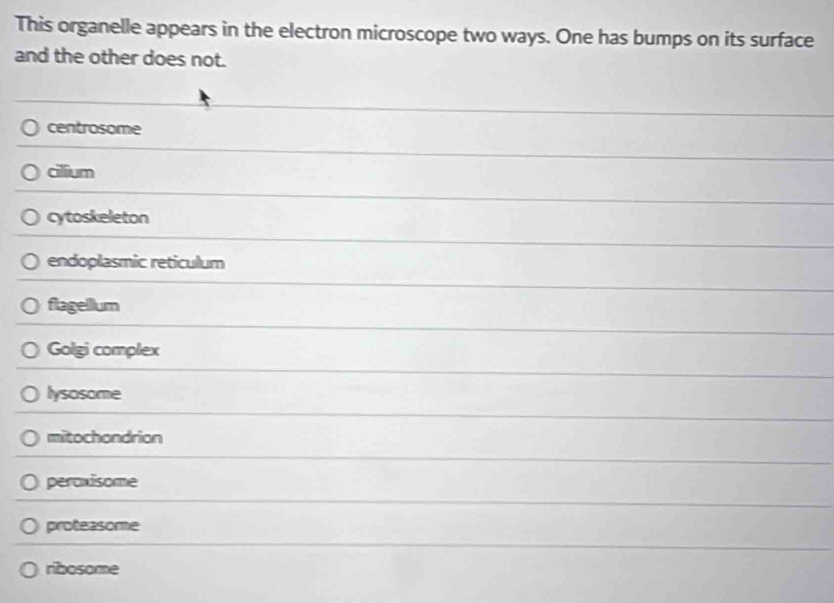 This organelle appears in the electron microscope two ways. One has bumps on its surface
and the other does not.
centrosome
cilium
cytoskeleton
endoplasmic reticulum
flagellum
Golgi complex
lysosome
mitochondrion
peraxisome
proteasome
ribosome
