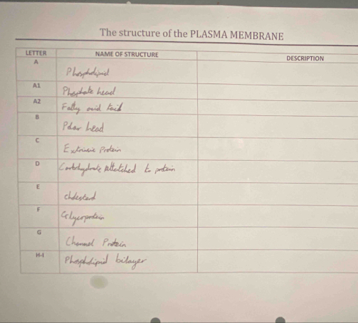 The structure of