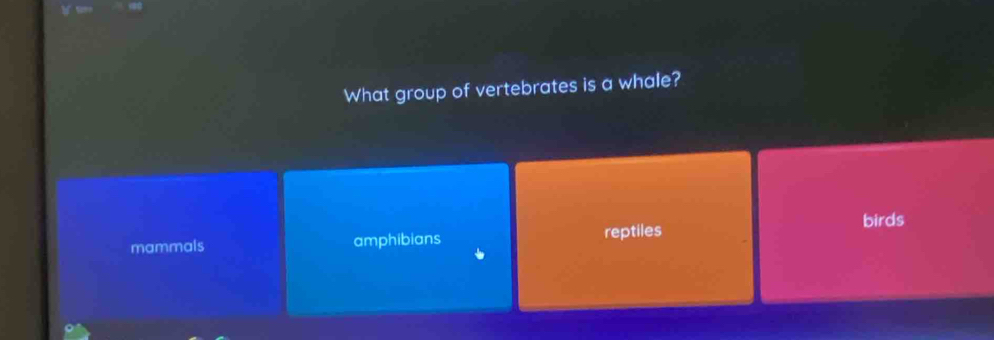 What group of vertebrates is a whale?
birds
mammals amphibians reptiles