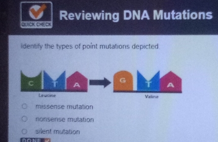 Reviewing DNA Mutations
QUICK ChECK
dentify the types of point mutations depicted
missense mutation
nonsense mutation
silent mutation