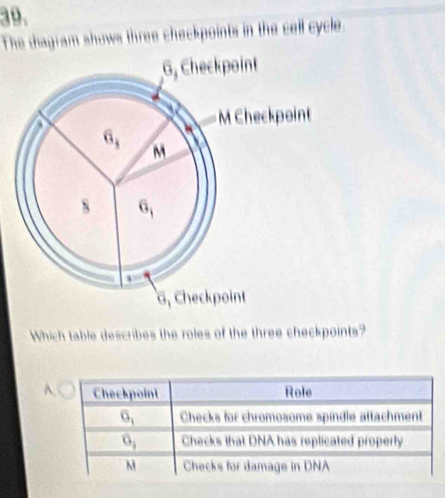 The diagram shows three checkpoints in the cell cycle.
Which table describes the roles of the three checkpoints?