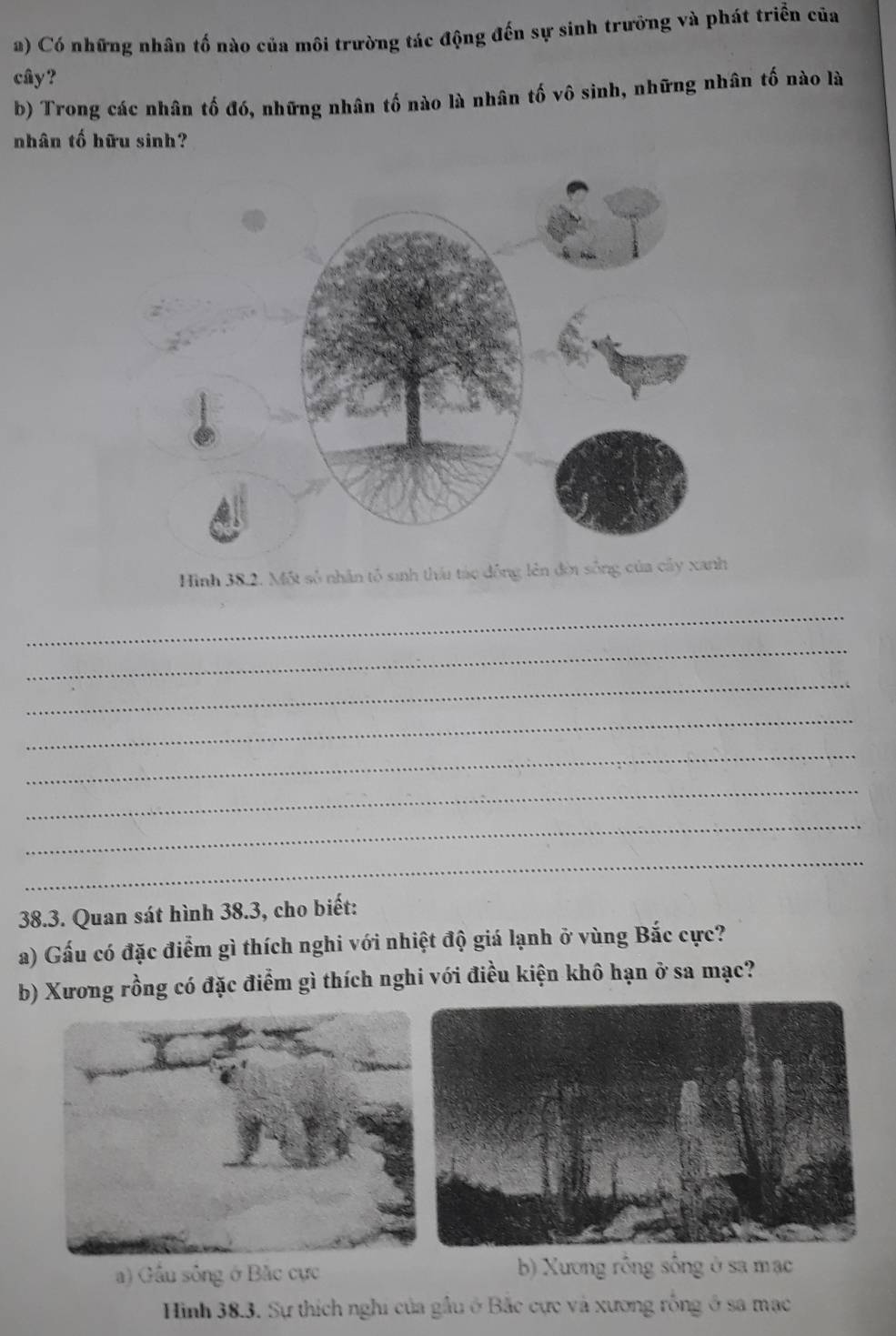 Có những nhân tố nào của môi trường tác động đến sự sinh trưởng và phát triển của
cây?
b) Trong các nhân tố đó, những nhân tố nào là nhân tố vô sinh, những nhân tố nào là
nhân tố hữu sinh?
Hìn
_
_
_
_
_
_
_
_
38.3. Quan sát hình 38.3, cho biết:
a) Gấu có đặc điểm gì thích nghi với nhiệt độ giá lạnh ở vùng Bắc cực?
b) Xương rồng có đặc điểm gì thích nghi với điều kiện khô hạn ở sa mạc?
a) Gầu sông ở Bắc cực b) Xương rồng sống ở sa mạc
Hình 38.3. Sự thích nghi của gầu ở Bắc cực và xương rồng ở sa mạc