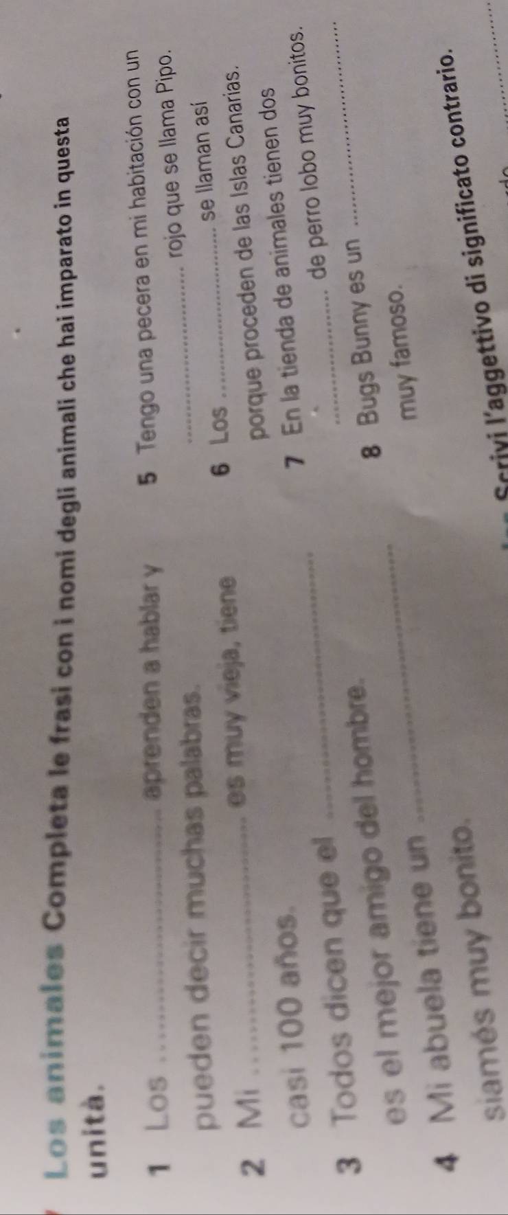 Los animales Completa le frasi con i nomi degli animali che hai imparato in questa 
uni tà. 
1 Los _aprenden a hablar y 
5 Tengo una pecera en mi habitación con un 
_rojo que se llama Pipo. 
pueden decir muchas palabras. 
6 Los 
2 Mi _es muy vieja, tiene _se llaman así 
porque proceden de las Islas Canarias. 
casi 100 años. 
3 Todos dicen que el _ 7 En la tienda de animales tienen dos 
es el mejor amigo del hombre. de perro lobo muy bonitos. 
8 Bugs Bunny es un 
4 Mi abuela tiene un 
muy famoso. 
siamés muy bonito. 
Scrivi l’aggettivo di significato contrario._