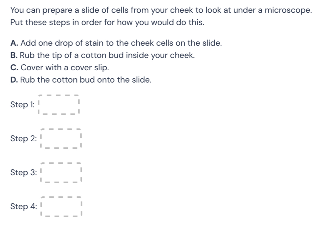 You can prepare a slide of cells from your cheek to look at under a microscope. 
Put these steps in order for how you would do this. 
A. Add one drop of stain to the cheek cells on the slide. 
B. Rub the tip of a cotton bud inside your cheek. 
C. Cover with a cover slip. 
D. Rub the cotton bud onto the slide. 
Step 1: □ □
□  
Step 2: □ □ =--□
x_ □ /□   
Step 3: □ -□ =□
Step 4: □ =-□ =_ 